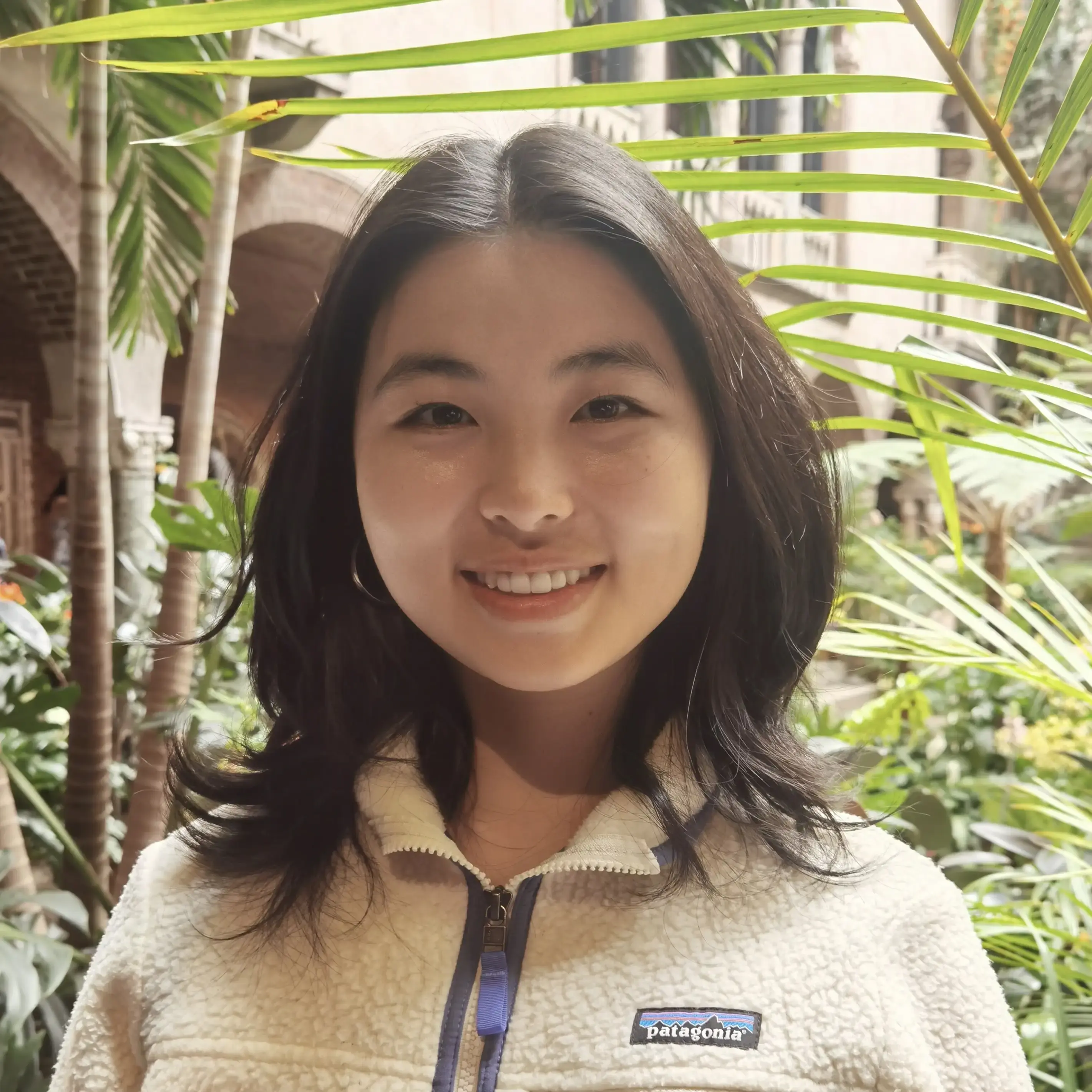 Fengyi Zheng